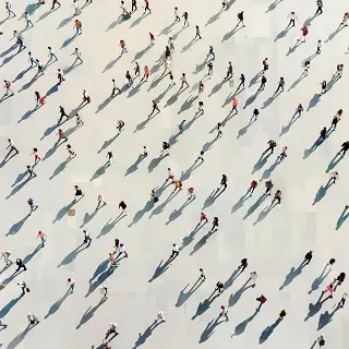 用电脑可以学什么